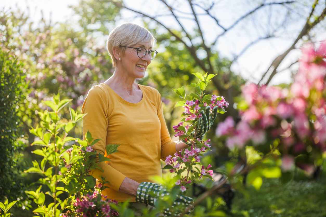 Happy senior woman enjoys looking at flowers in her garden.